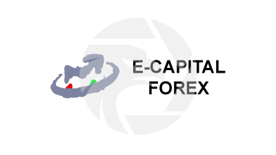 E-Capital Forex