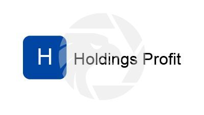 Holdings Profit