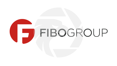 FIBO Group - Guia Geral deste Corretor