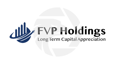 FVP Holdings