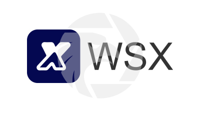 WSX Pro