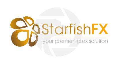 海星 外汇 starfish forex 建设银行 外汇汇款 China Construction Bank Foreign Exchange Remittance