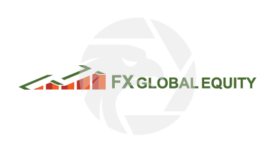 Fx Dgital Equity Market