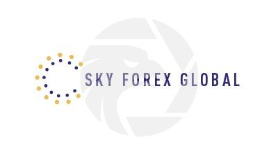 外汇天眼评价 Forex Sky Eye Evaluation 支付宝向国外汇款 Alipay to send money abroad
