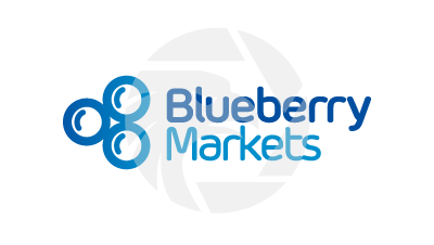  Blueberry Markets-alguns pontos importantes sobre este corretor