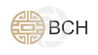 BCH Global Limited