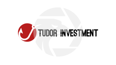 Tudor Investment